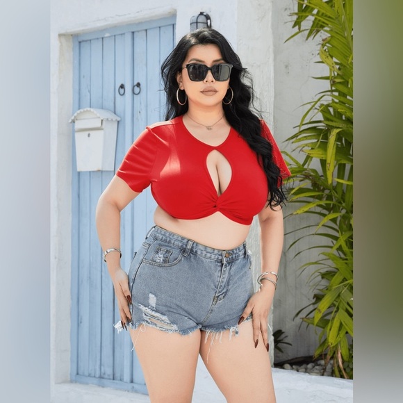 Plus Size Cropped Cutout Twisted Front Short Sleeve Blouse - Picture 1 of 4